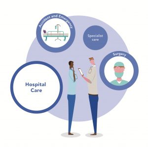 Cartoon diagram showing a worker on a computer at her desk with a large caption saying One Team. Two sets of smaller captions surround her: six captions are medical – diagnosis, physio, medication reviews, health and wellbeing advice, blood tests, and minor ailments. Eight captions list other aspects of making it happen with One Team – GP, occupational therapy, community pharmacy, health visitors, community nursing, managing long-term conditions, mental health support and social work.